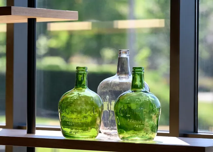 酒店 布拉加美利亚spa酒店 5*