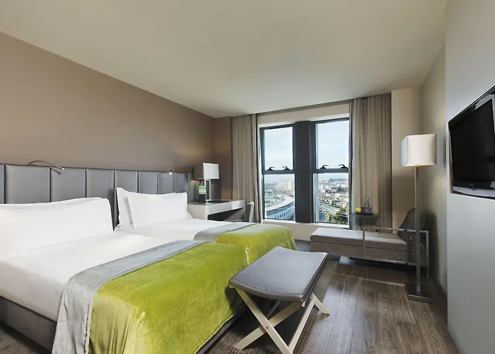 酒店 布拉加美利亚spa酒店