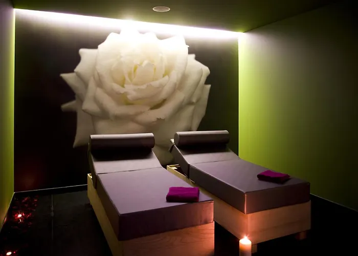 酒店 布拉加美利亚spa酒店